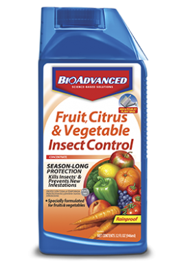 BA-FRUIT/CITRUS/VEG INSECT QT
